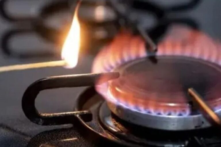 Gas, Distribuidoras, Enargas