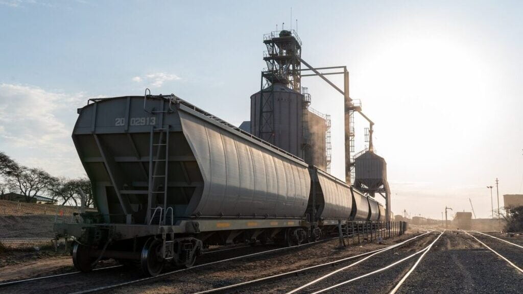 Línea San Martin, Trenes Argentinos Cargas, Desvío Ferroviario