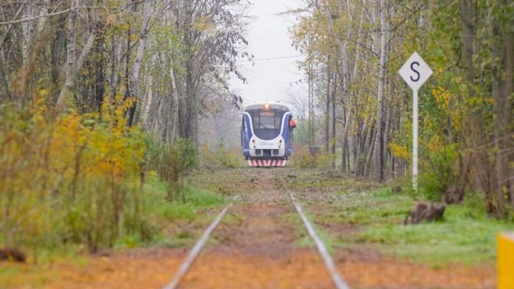 Tren Turístico Mercedes - Tomás Jofré, Trenes Argentinos, Choque de camión