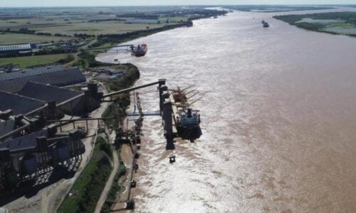 Puerto San Martín, Puerto Zárate, Puerto Buenos Aires
