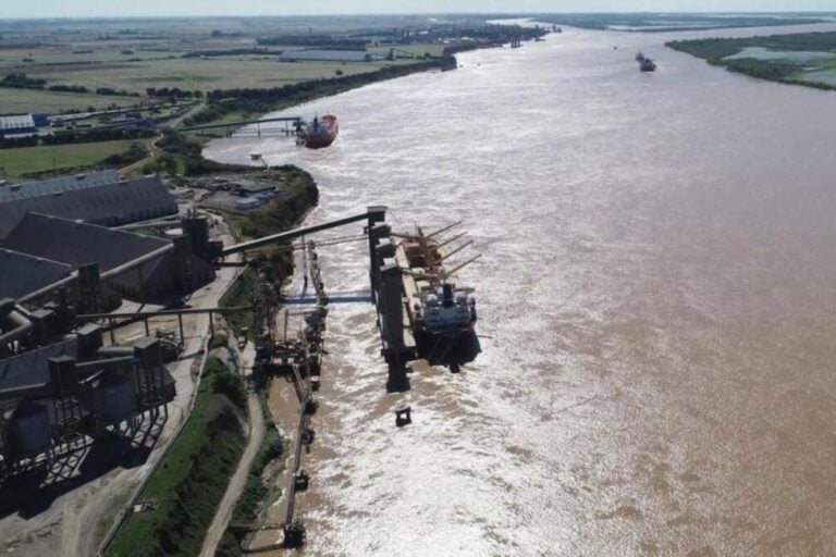 Puerto San Martín, Puerto Zárate, Puerto Buenos Aires