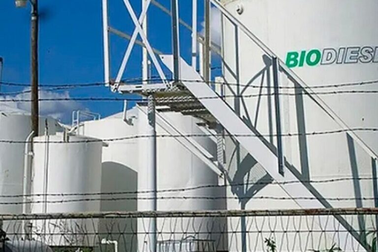 biodiesel