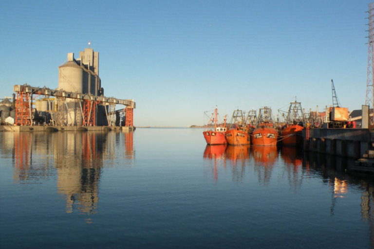 Puerto Quequén, Logística Merina, Exportaciones, Buques de carga, Transporte de carga