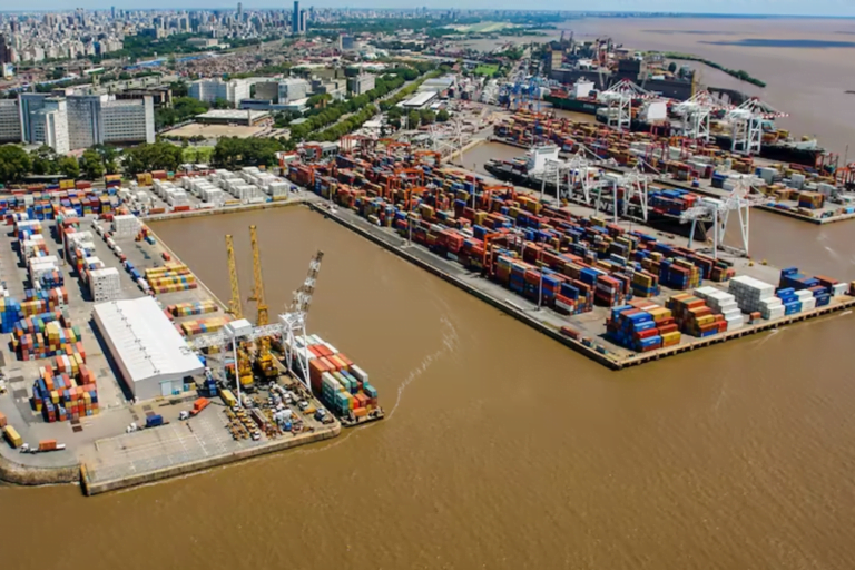 Puerto San Martín, Puerto Zárate, Puerto Buenos Aires