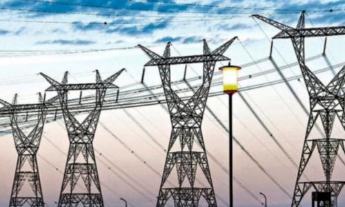 TerConf, CAMMESA, Cortes de Luz, verano, suminstro eléctrico