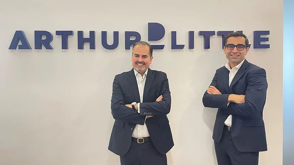 GNL, YPF, Arthur D. Little, Petronas, Consultora internacional
