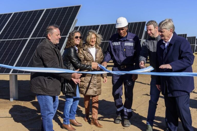 parque solar victorica la pampa