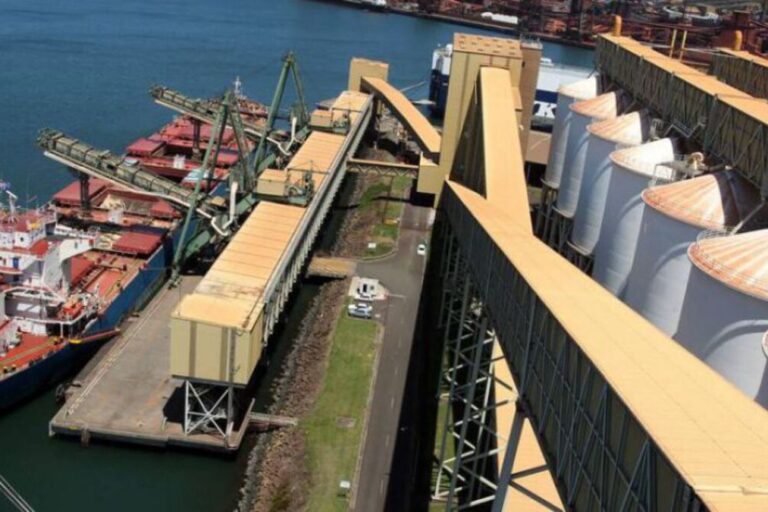 Granos, Embarques, Puertos Argentinos, Gran Rosario, Productos Agropecuarios