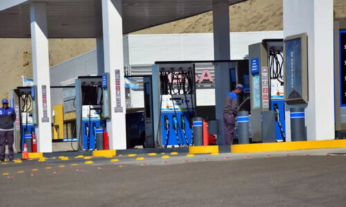 Mercado de Combustibles, Caída de ventas, Naftas y Gasoil, Estaciones de Servicio
