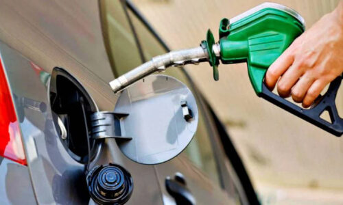 Biocombustibles, Bioetanol, Naftas y gasoil, Secretaría de Energía