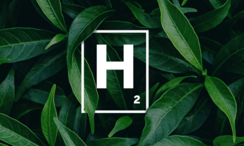 Hidrógeno Verde, Fortescue, Energías Renovables, Rio Negro