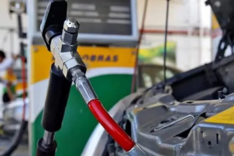 GNC, Estaciones de servicio, Combustibles, Parque Automotor, Gas Natural