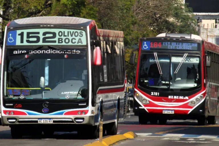 Colectivos, Transporte Público, Franco Mogetta, SUBE, Boletos