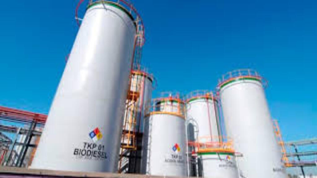 Biocombustibles, Ley de biocombustibles, Liga bioenergética, Energías renovables