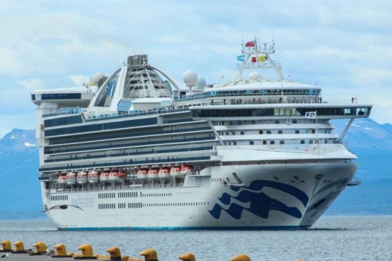 Tasas portuarias, AGP, Secretaría de Turismo, Cruceros, Recambio de tripulantes, Daniel Scioli, Gastón Benvenuto