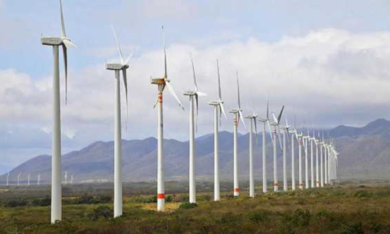 Parque Eólico, Bahía Blanca, Energías Renovables, Pampa Energía