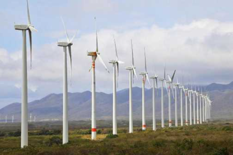 Parque Eólico, Bahía Blanca, Energías Renovables, Pampa Energía