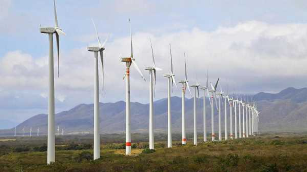 Parque Eólico, Bahía Blanca, Energías Renovables, Pampa Energía