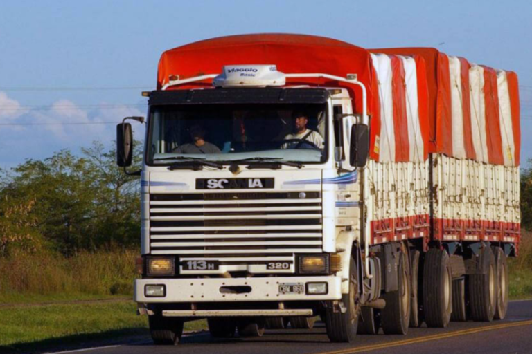 Federico Sturzenegger, Transporte de carga, Desregulación, RUTA, Digitalización