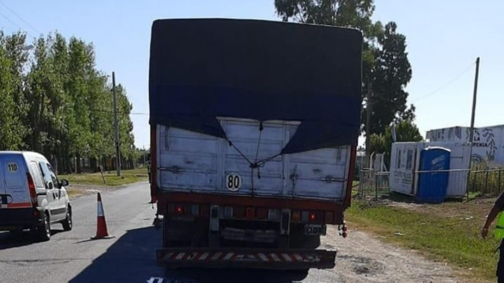 Camiones, Transporte de carga, Desregulación, registro RUTA