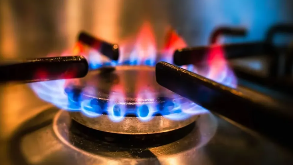 Luis Caputo, Tarifas, Gas, Electricidad, Combustibles, Bajas