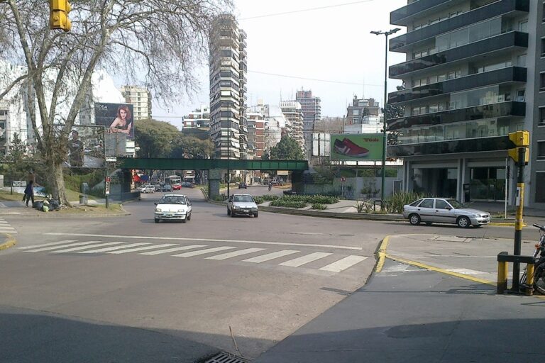 Puente Avenida Elcano, Línea Mitre, Trenes Argentinos