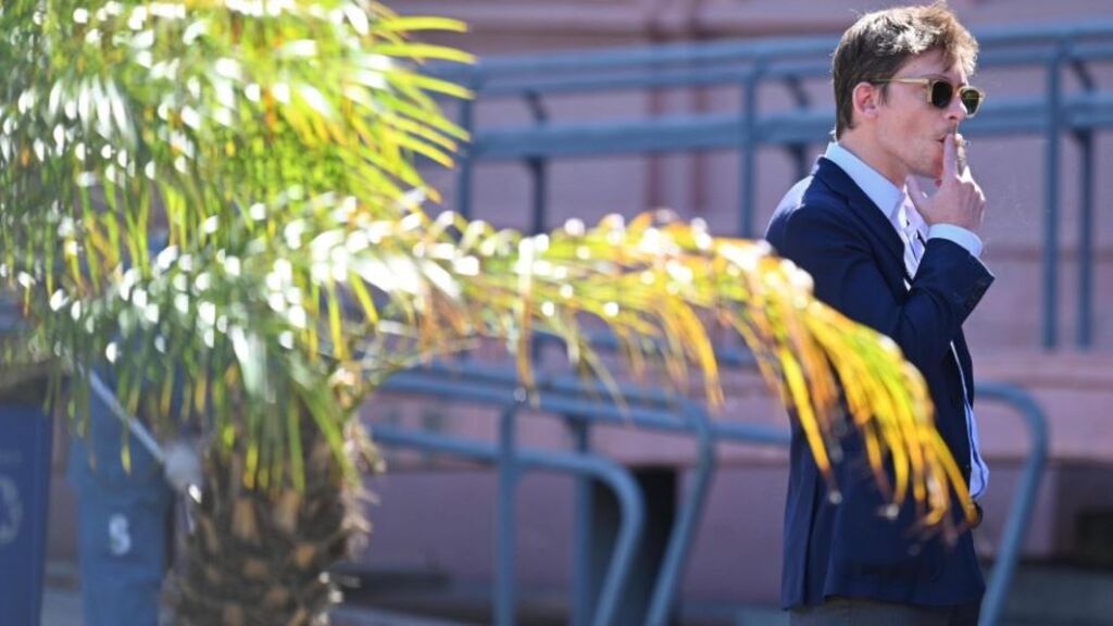 ENARSA, Tristán Socas, Santiago Caputo, Privatización, Energía Argentina