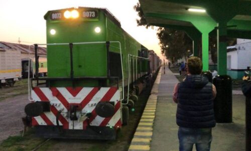 Tren Patagónico, Rio Negro, Secretaría de Transporte, Concesión