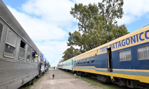 Tren Patagónico, Río Negro, Videma, San Antonio Oeste, ADIF