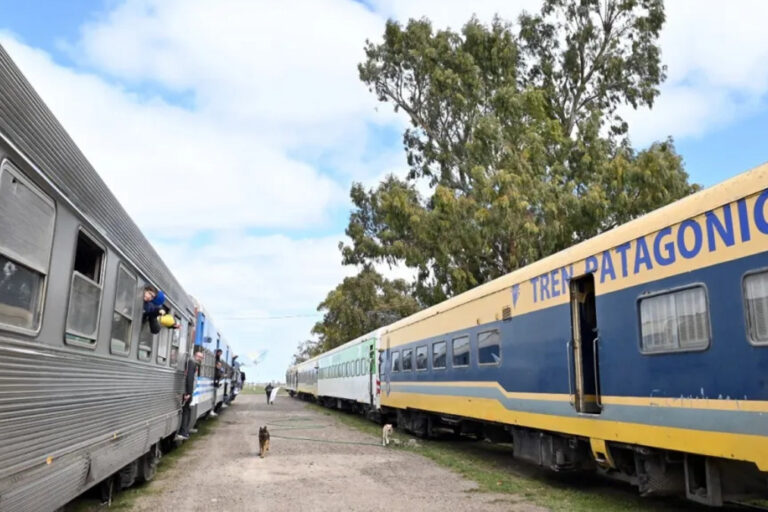 Tren Patagónico, Río Negro, Videma, San Antonio Oeste, ADIF
