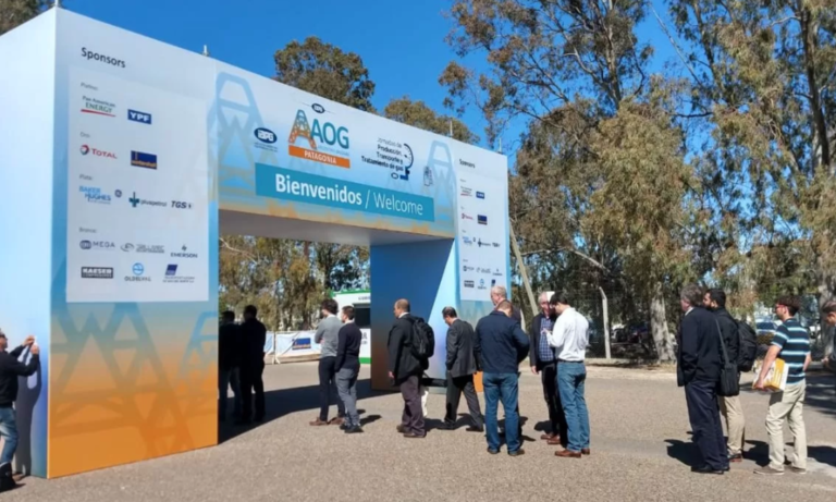 AOG 2024, Vaca Muerta, Neuquén, Rolando FIgueroa, IAPG