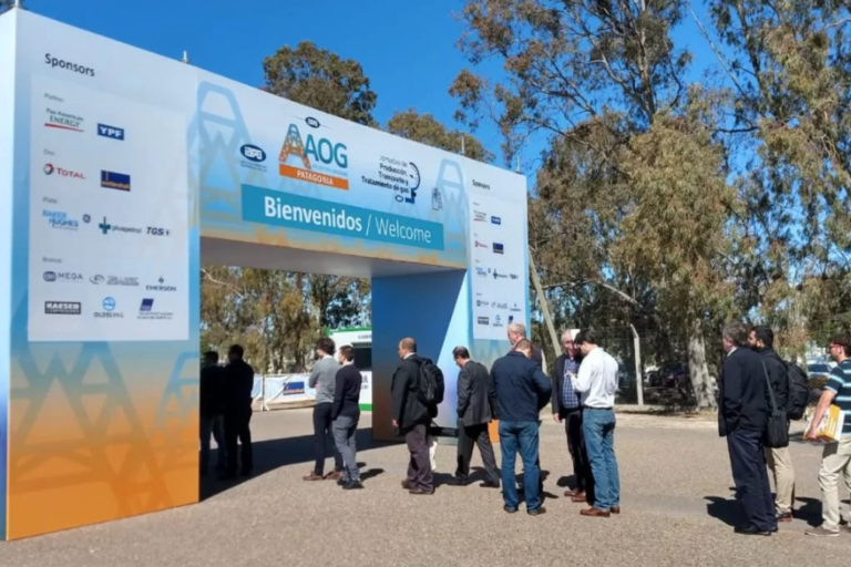 AOG 2024, Vaca Muerta, Neuquén, Rolando FIgueroa, IAPG