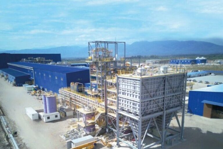 posco litio salta