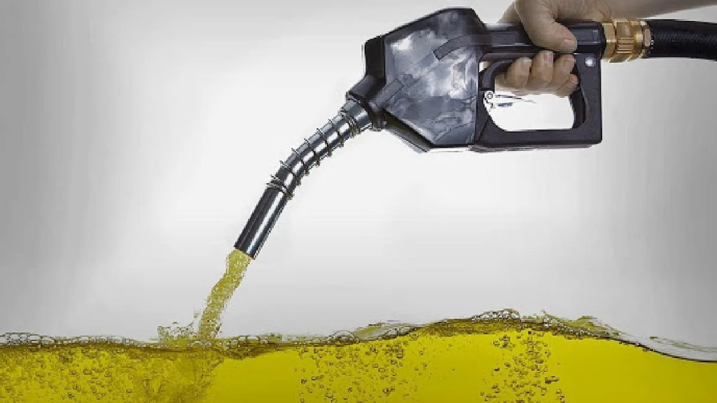 Biodiésel, Biocombustibles, Naftas, Combustibles, Estaciones de servicio