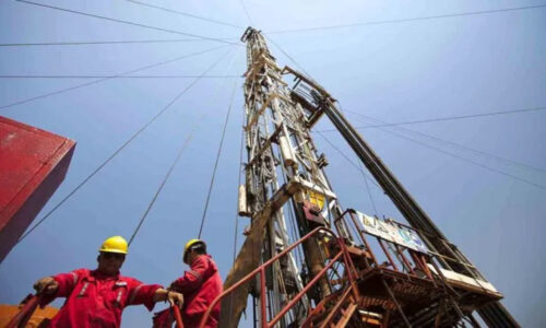 Vaca Muerta, Superávit Energético, Gas, Petróleo
