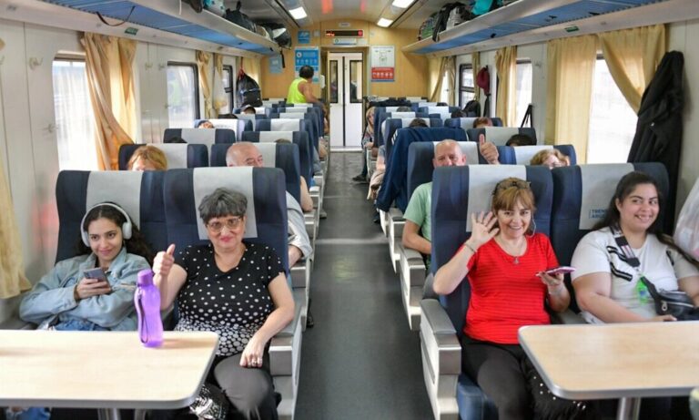 Trenes Argentinos, Confirmación, Viajes de larga distancia, SOFSE