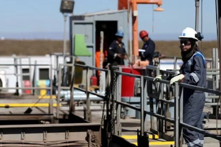 Vaca Muerta, Paro, Vista, Accidente fatal, Bajada del Palo Oeste