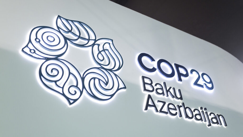 cop 29