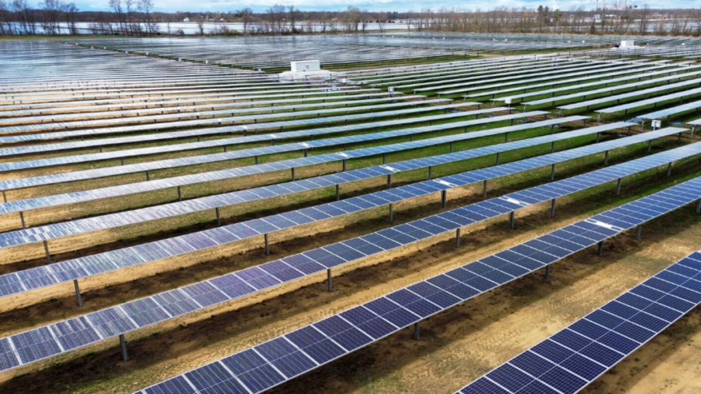 Donald Trump, Kamal Harris, Transición energética, Agenda 2030, Elecciones en Estados Unidos