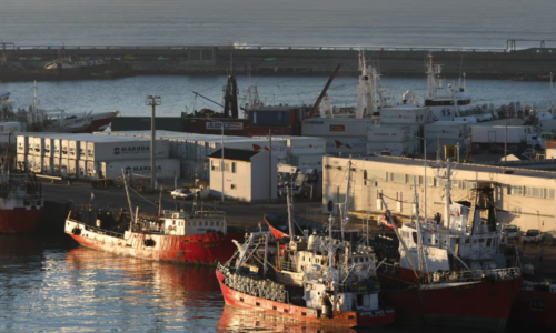 Puerto Mar del Plata, Bajante del río, Practicantes, Buques de gran porte, Consorcio Regional