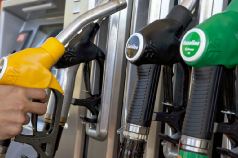 Biodiesel, Bioetanol, Biocombustibles, Secretaría de Energía