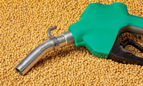 biodiesel soja