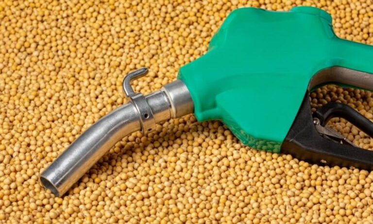 biodiesel soja