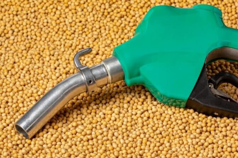 biodiesel soja