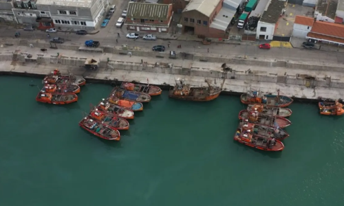 Ranking de puertos, Buenos Aires, Movimiento de contenedores, transporte de cargas fluvial, Dock Sud