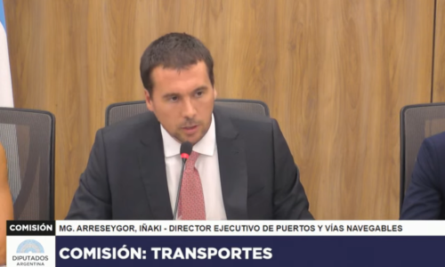 Iñaki Arreseygor, Hidrovía, ANPYN, licitación, Diputados