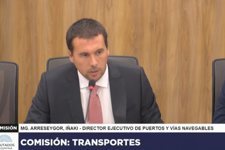 Iñaki Arreseygor, Hidrovía, ANPYN, licitación, Diputados