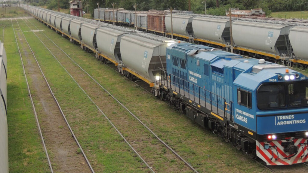 Trenes Argentinos Cargas, Belgrano Cargas, Privatización