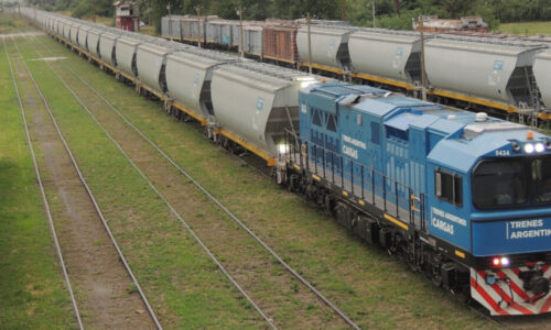 Trenes Argentinos Cargas, Belgrano Cargas, Privatización