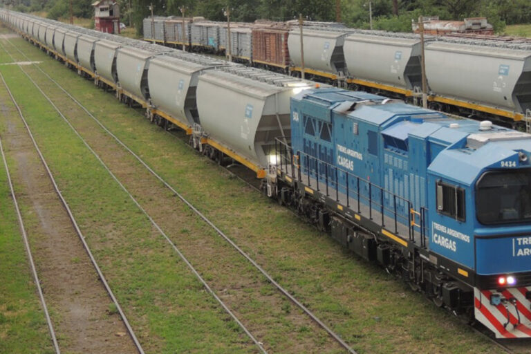 Trenes Argentinos Cargas, Belgrano Cargas, Privatización